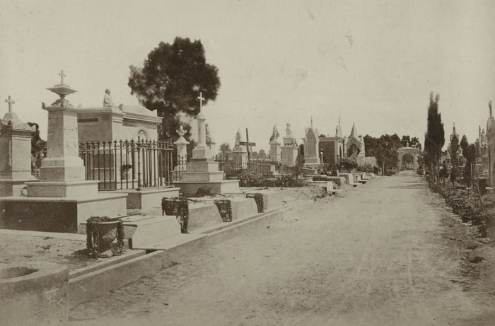 Alexandria Christian cemetery in the 1880s