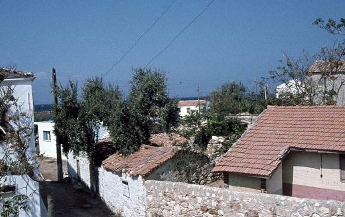 image courtesy of George Poulimenos