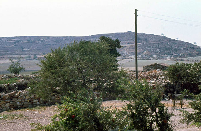 image courtesy of George Poulimenos