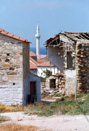 image courtesy of George Poulimenos