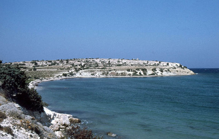 image courtesy of George Poulimenos